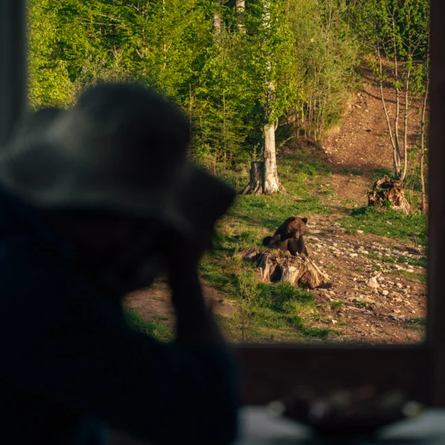 Carpathia Wildlife Watching JWP