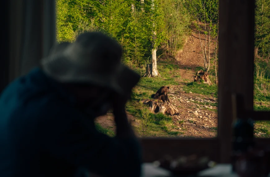 Carpathia Wildlife Watching JWP
