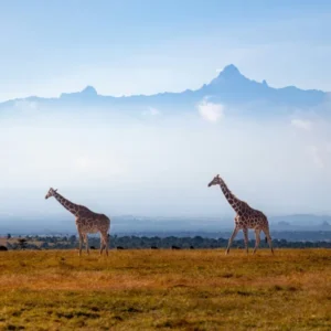 Day 1 Nairobi Arrival and Group Gathering_converted