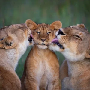 Day 10 Reflections and the Road Ahead_converted