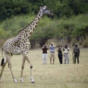 Day 3 Glass, Creativity and Community_converted