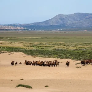 Monastic Trails and Desert Horizons