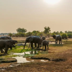 Day 6 Art, Education and Impact_converted