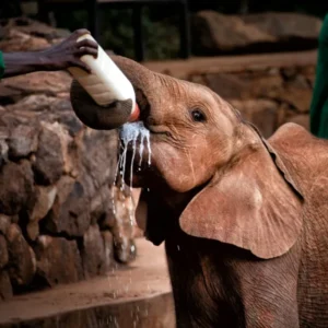 Day 6 Community, Conservation and Shared Futures at Sarara_converted