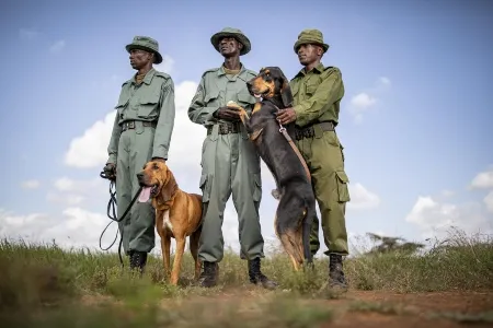 Loisaba Lodo Springs 3_converted