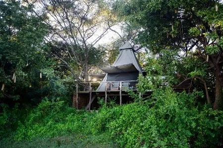 Shawa Luangwa Camp 1 forest views_converted
