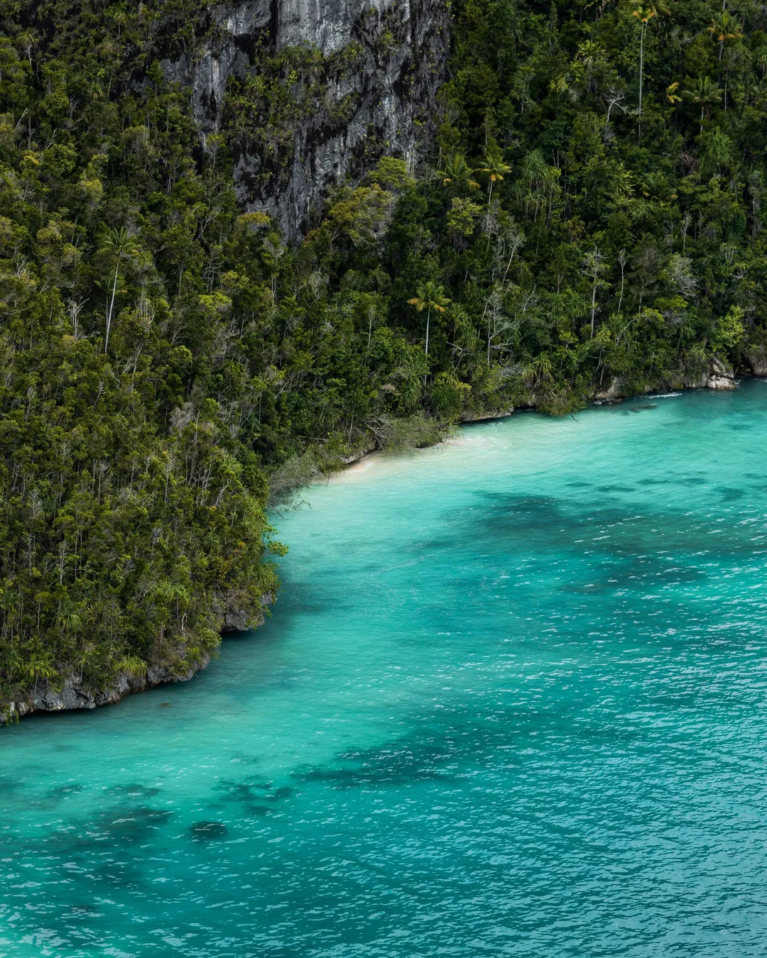 Raja Ampat Scene JWP