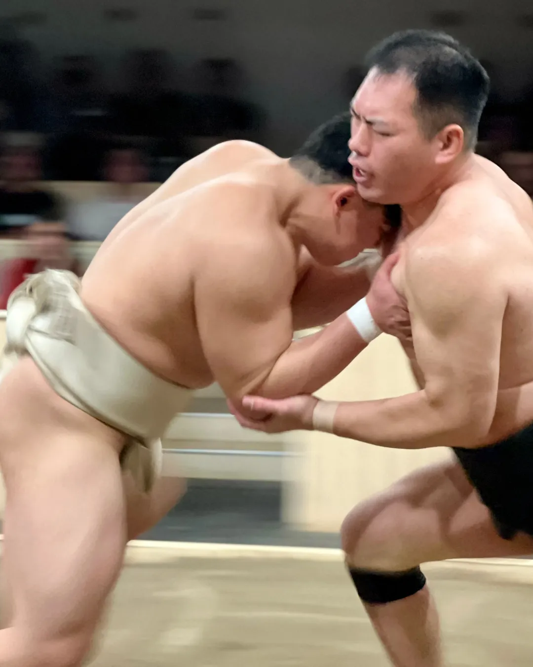 Sumo Wrestling Japan JWP