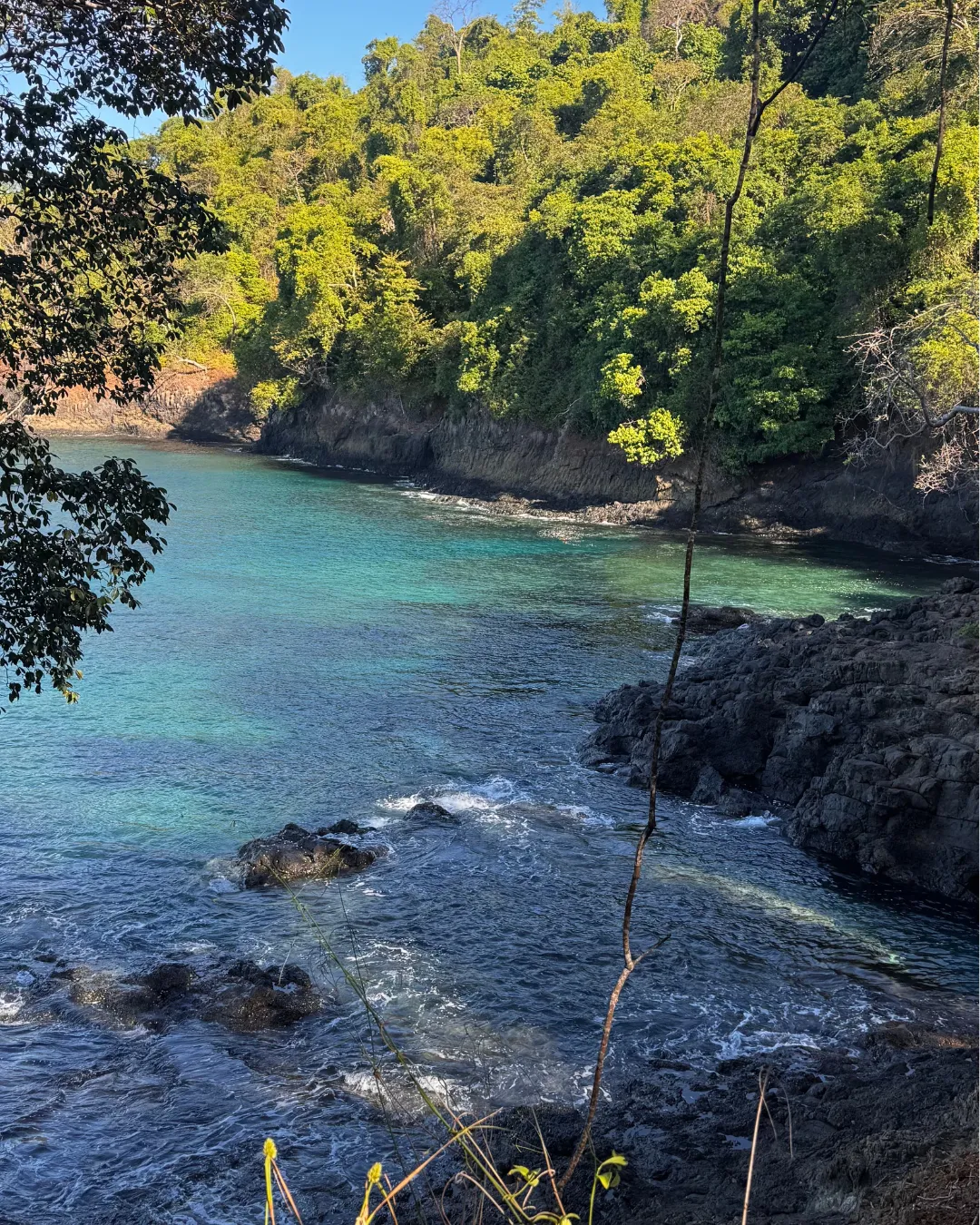 Isla Secas Marine JWP