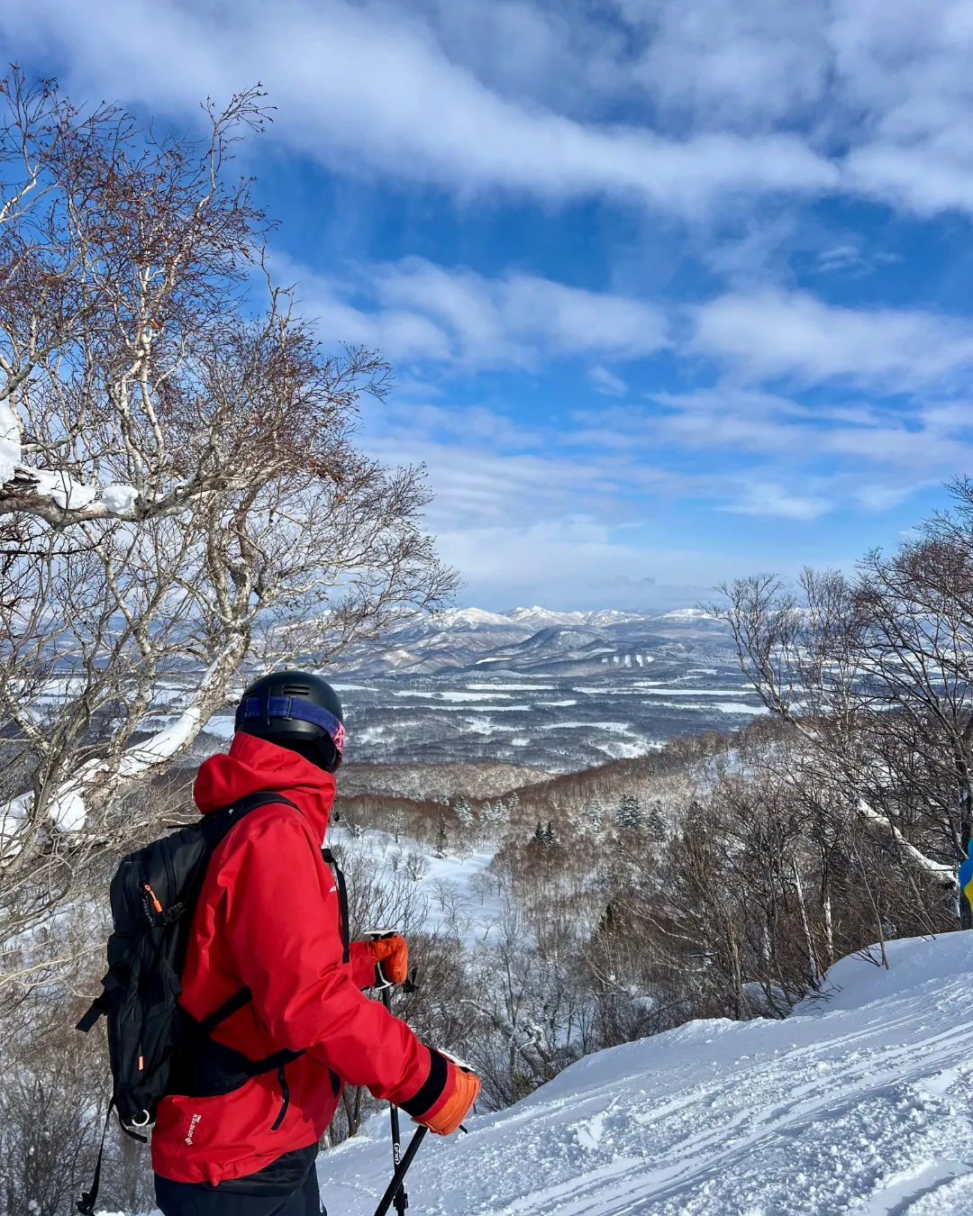 Niseko Skiing JWP