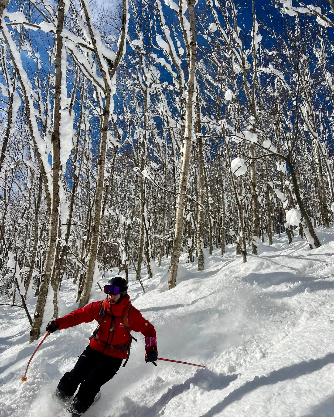 Skiing Japan JWP