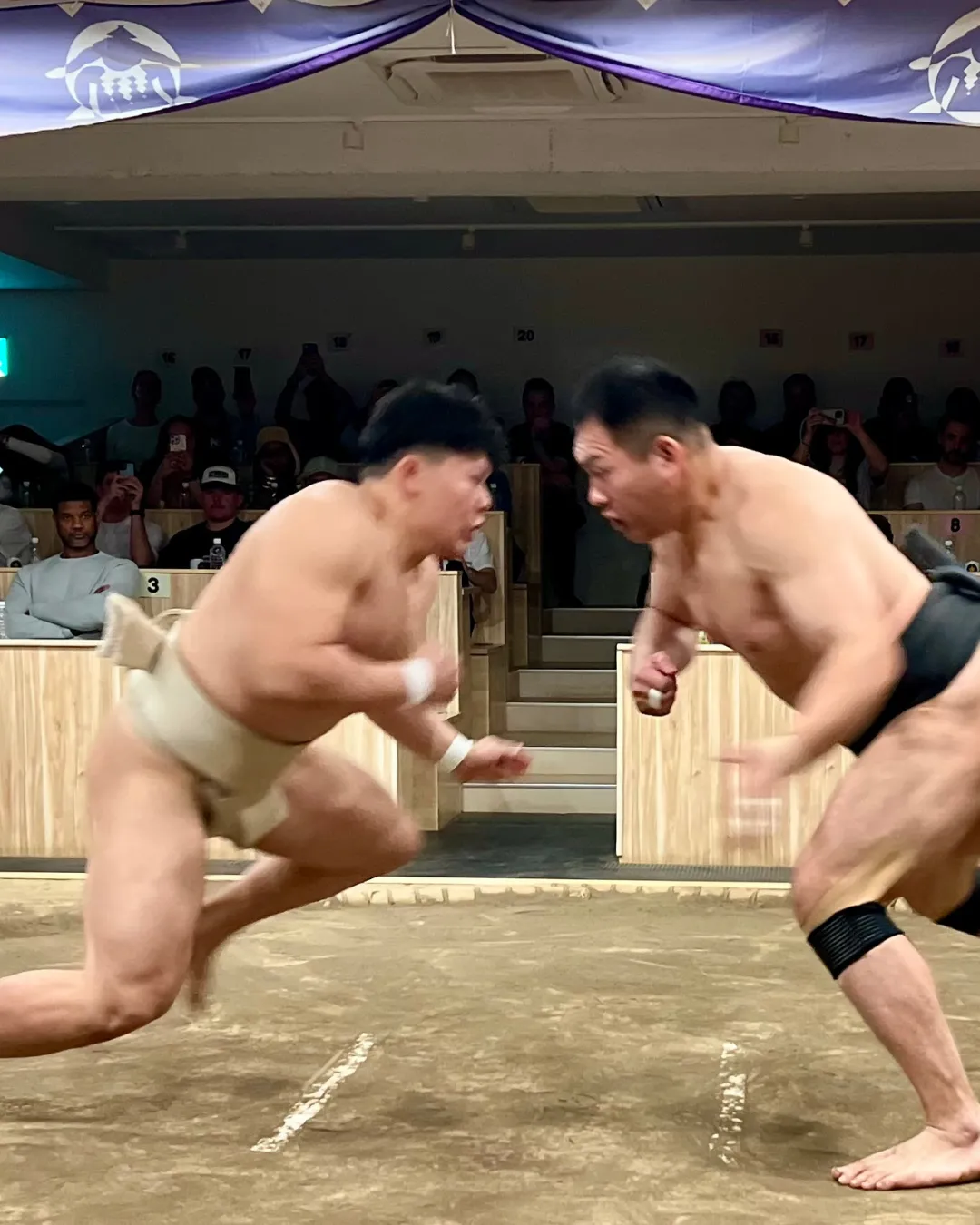 Sumo Wrestling Japan JWP