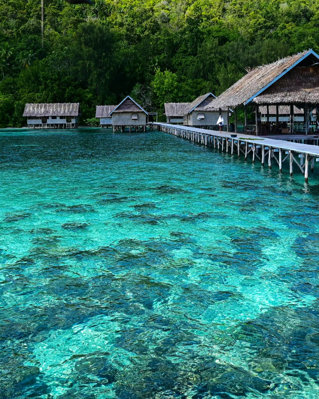 Raja Ampat Water JWP