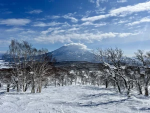 Winter Scene Japan JWP