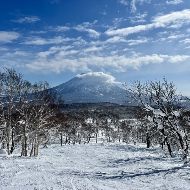 Winter Scene Japan JWP