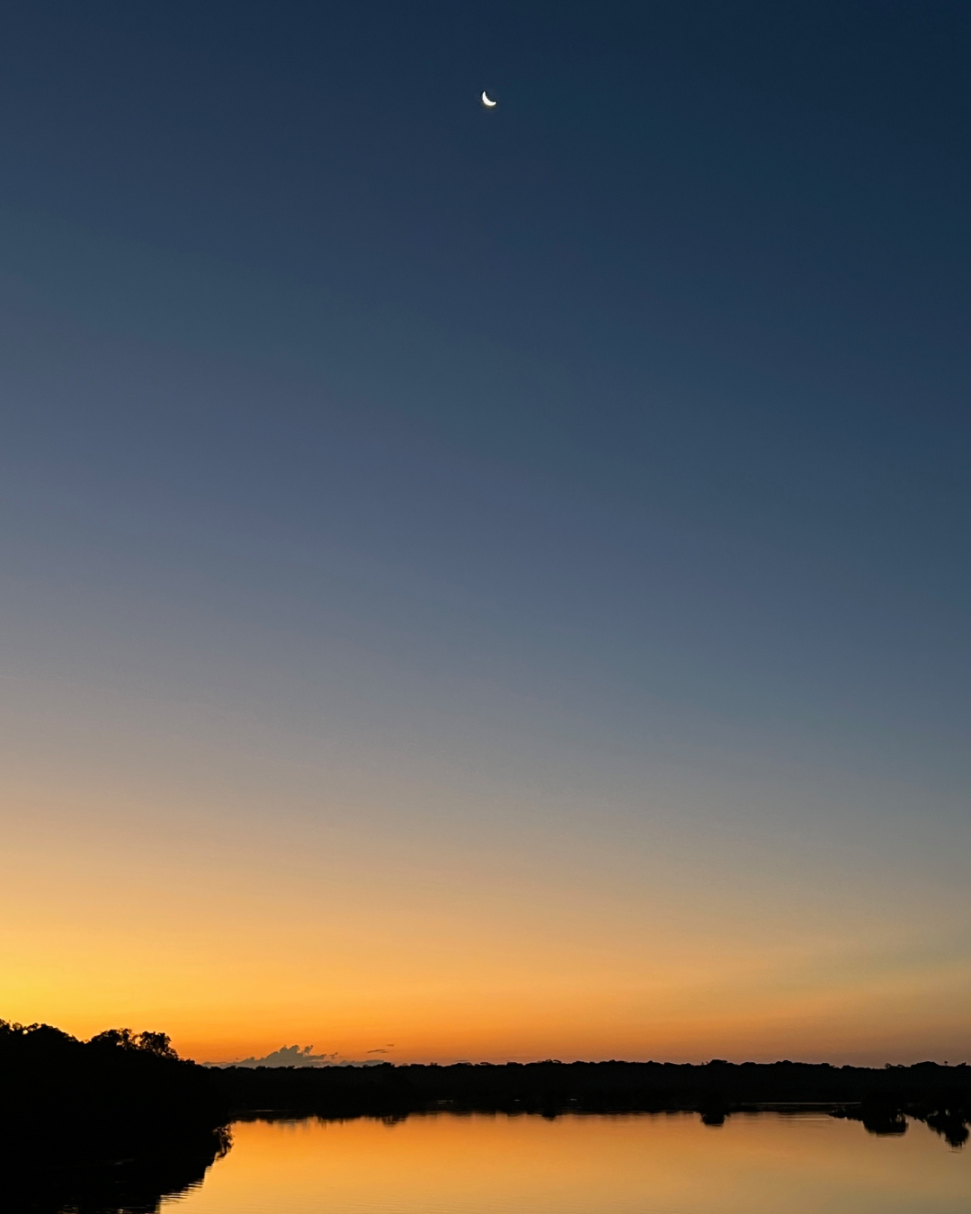 Brazilian Sunset JWP