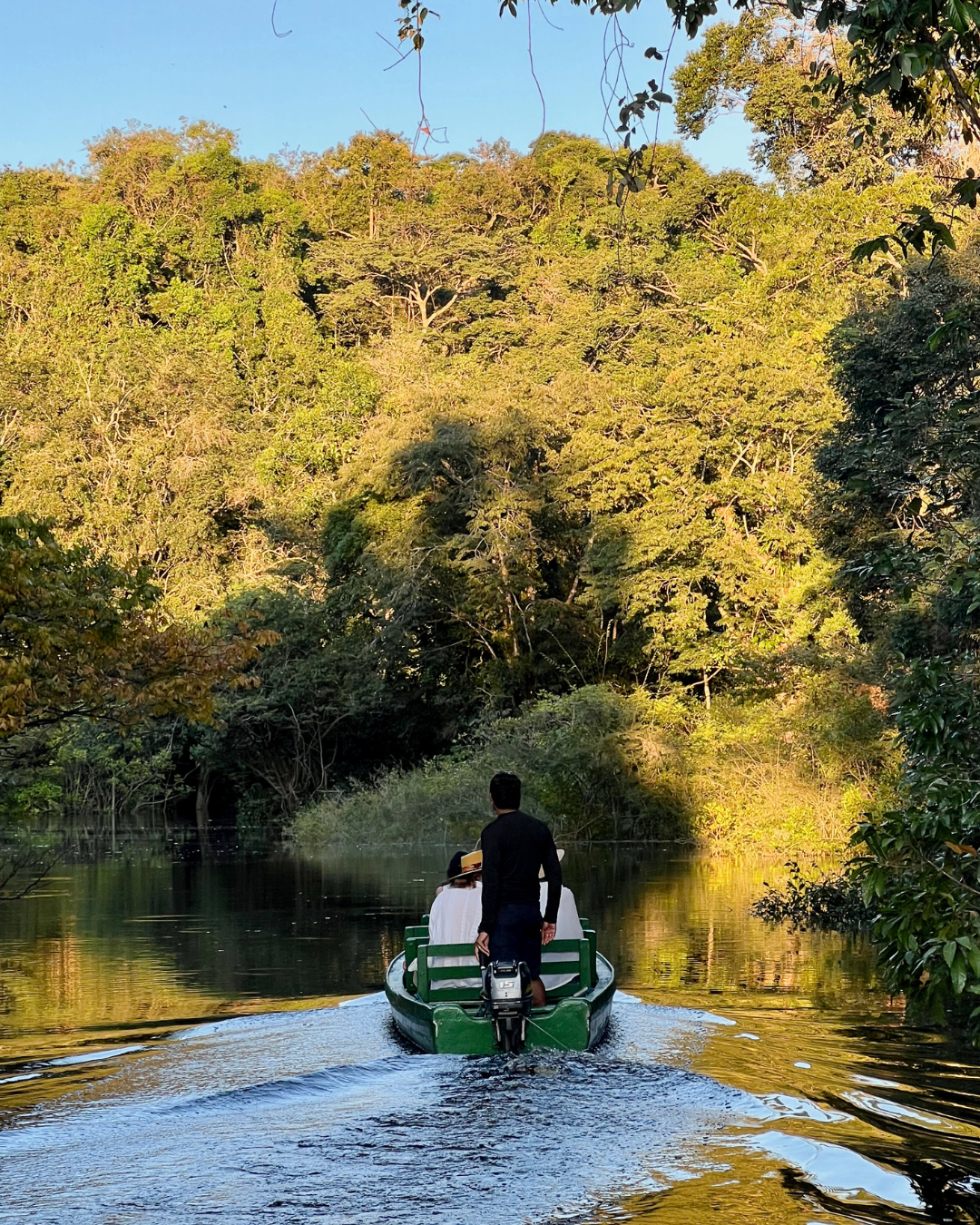 Tranquil Amazon JWP
