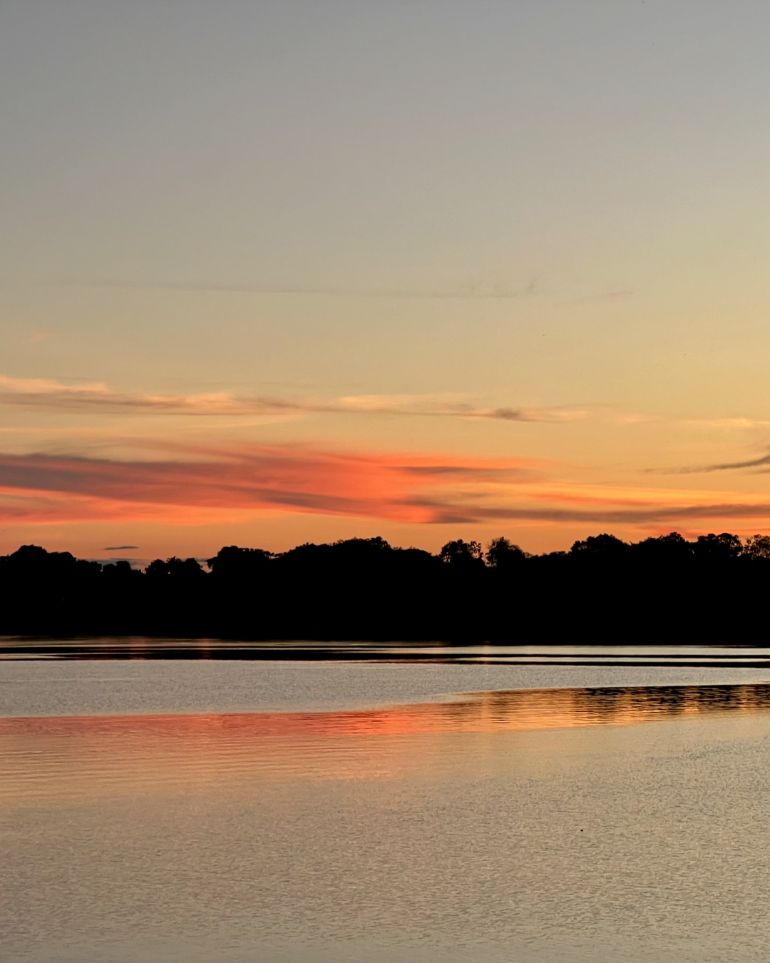 Sunset Scene Amazon JWP