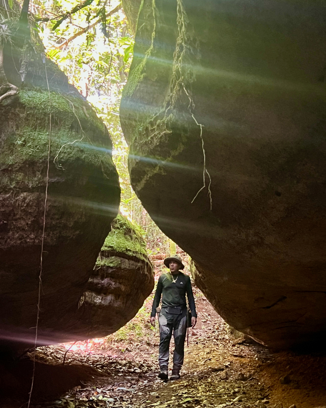 Rocks Amazon JWP