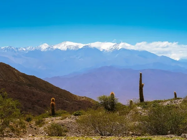 Natura Argentina is transforming conservation in South America