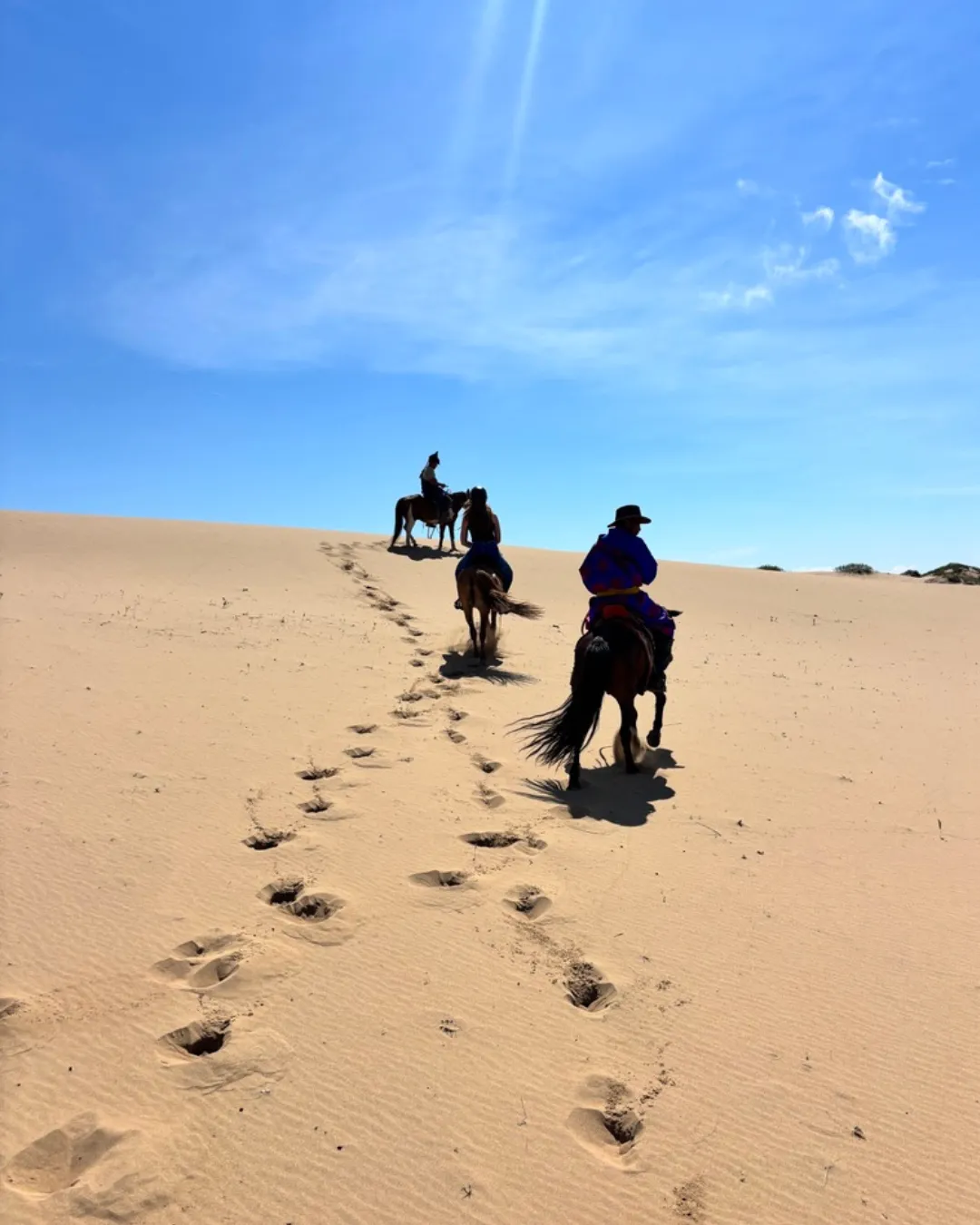 Dune Mongolia