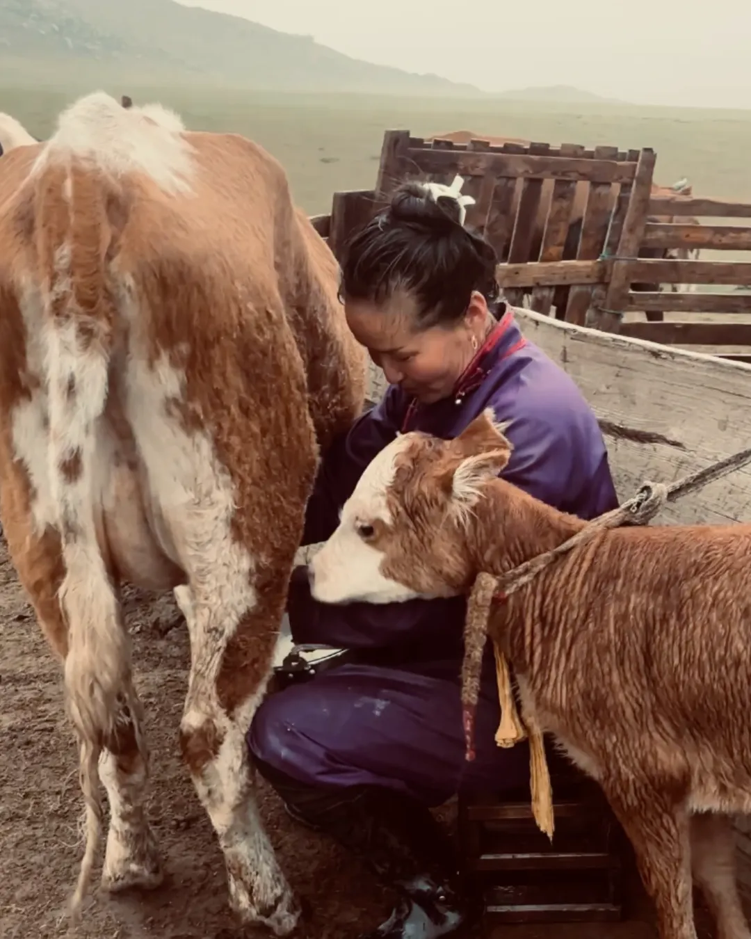 Mongolia Culture