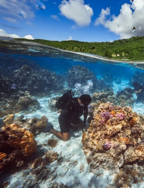 Marine research