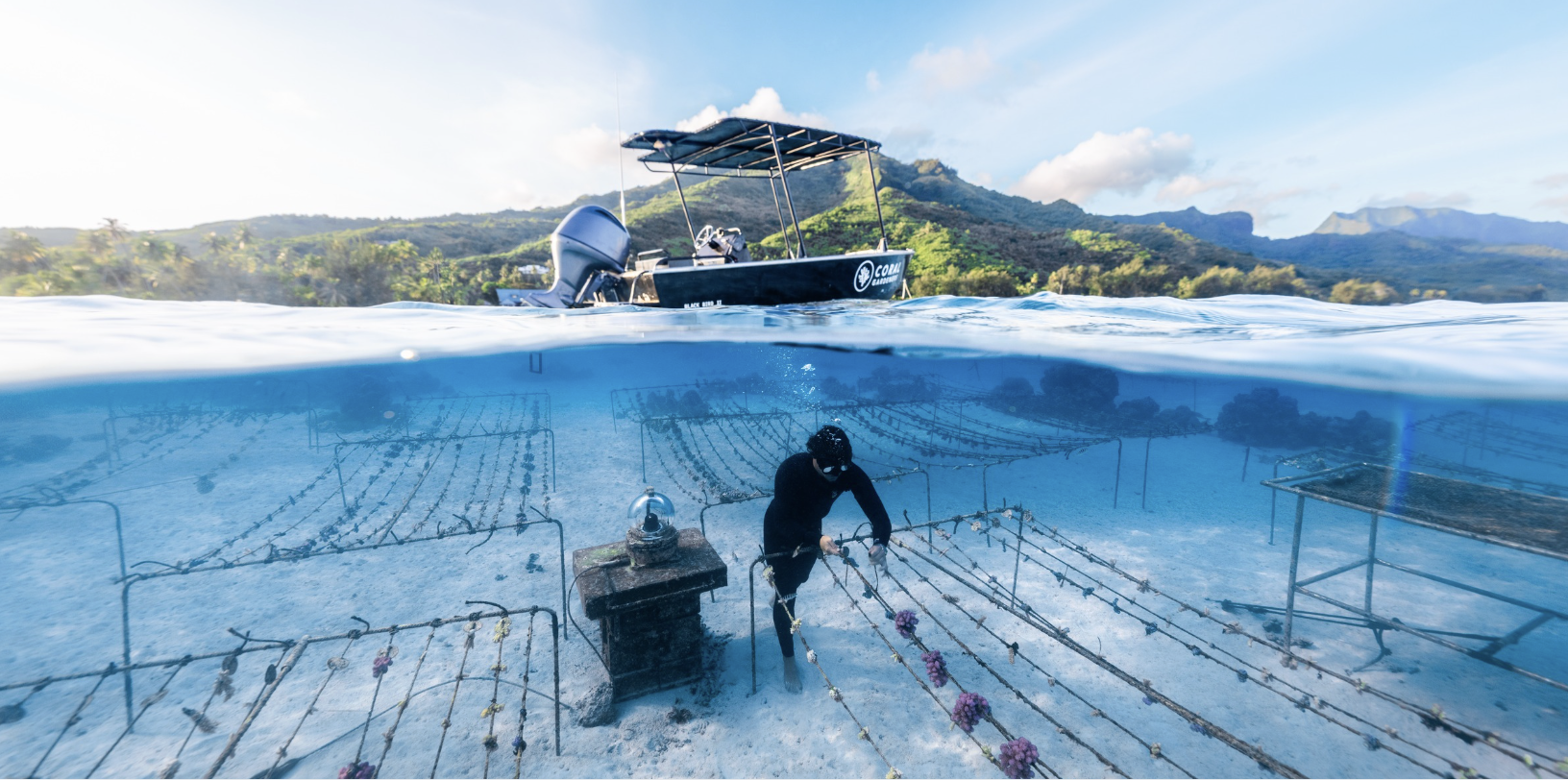 Conservation in Action CG