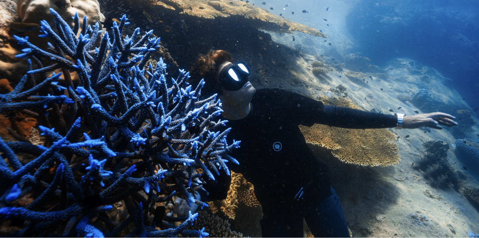 Titouan Diving