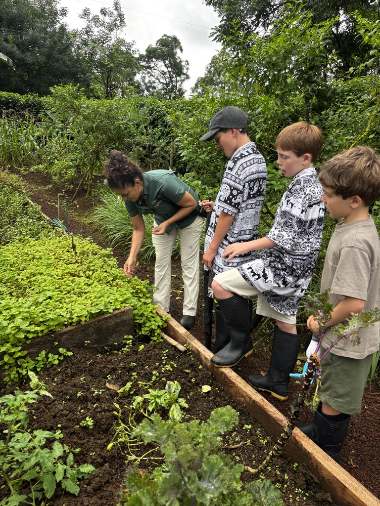 Learning in nature