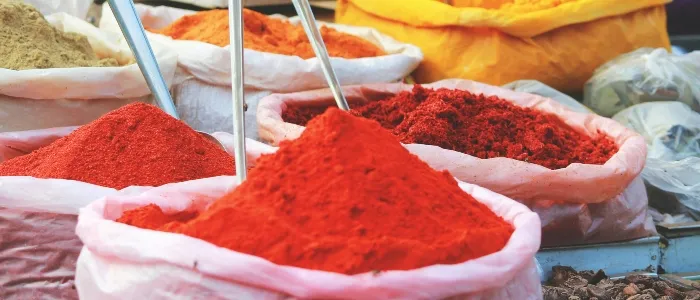 Explore India_converted