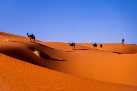 carlos-leret-kiYzznir-uo-unsplash carlos-leret-kiYzznir-uo-unsplash