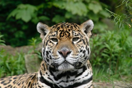 ian-keenan-1nnKhkAGyjc-unsplash (2) (1) ian-keenan-1nnKhkAGyjc-unsplash (2) (1)